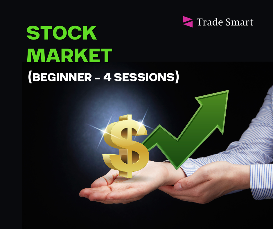 Stock Market Beginner Live Course (4 classes)
